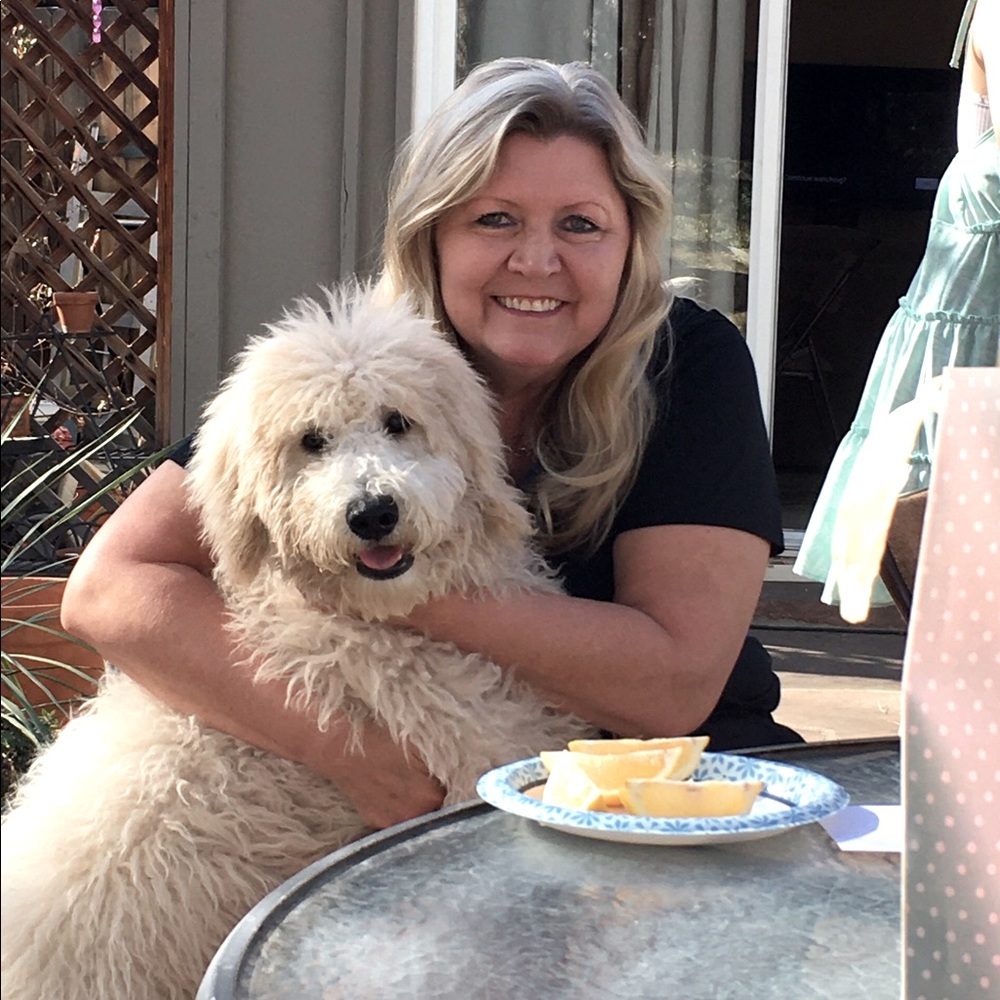 Meet your Posher, Terry